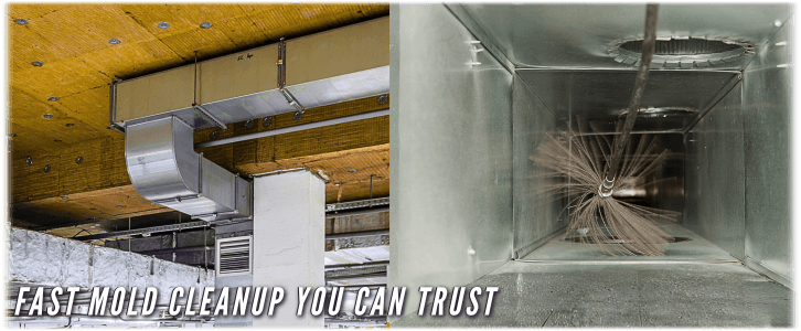 Air Duct Mold Removal in Brooklyn NY